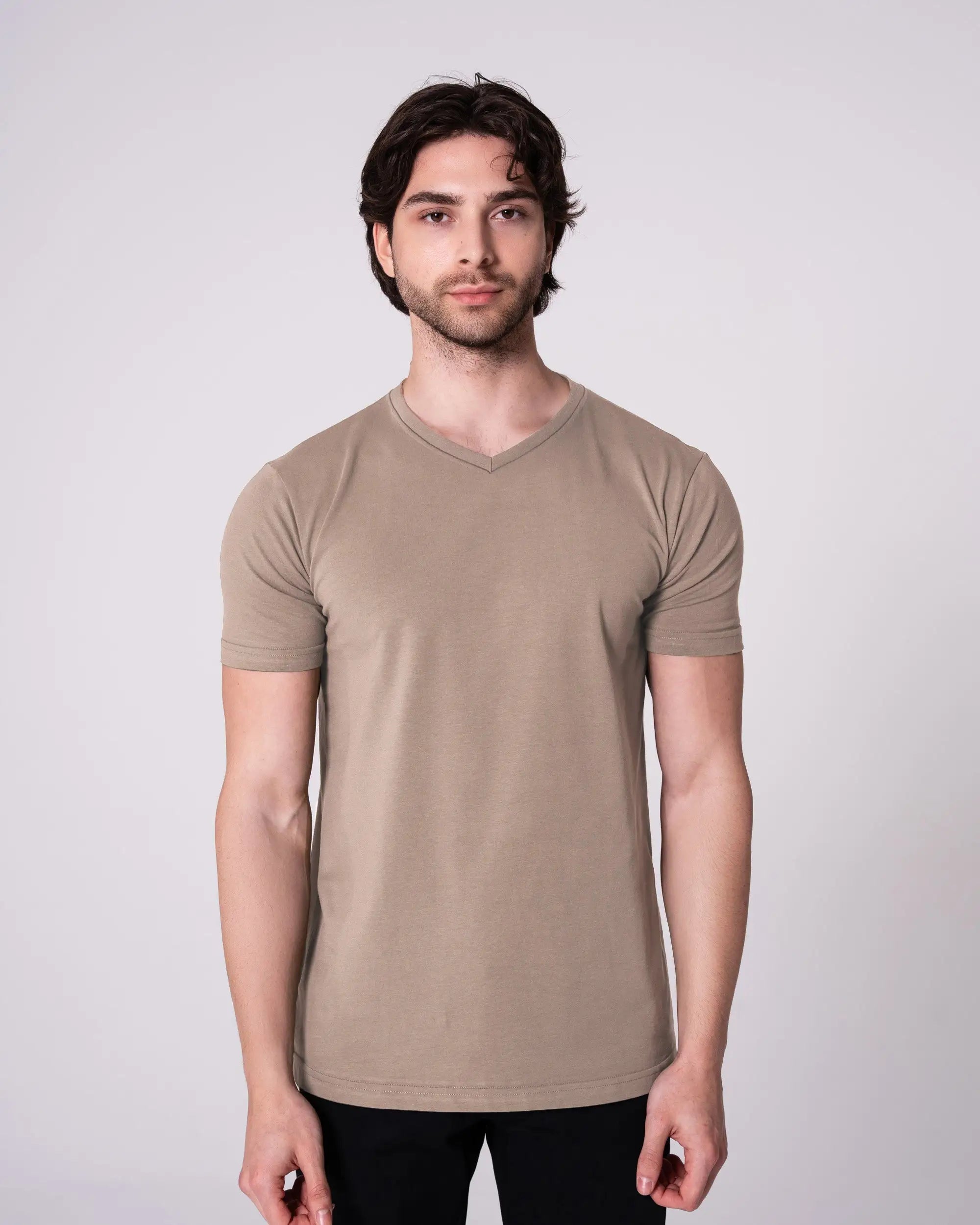 Stone V-Neck T-Shirt