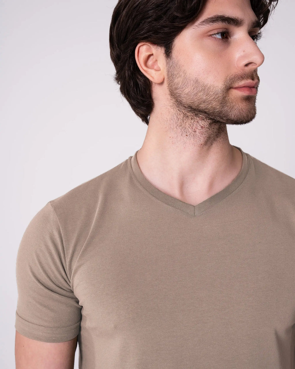 Stone V-Neck T-Shirt